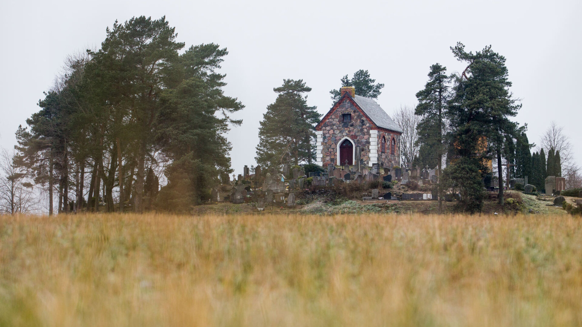 Bagaslaviskis0040