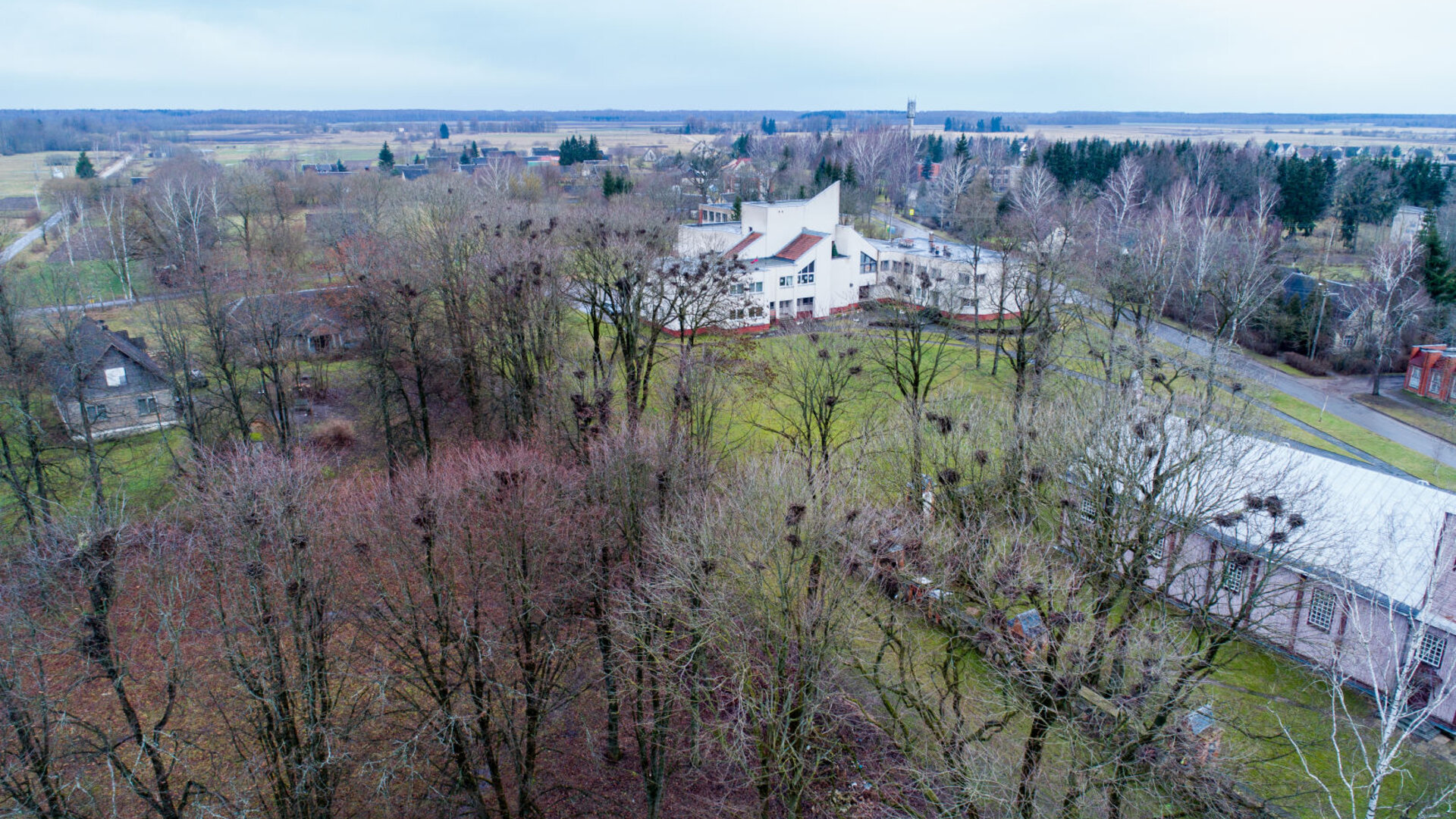 Alizava002