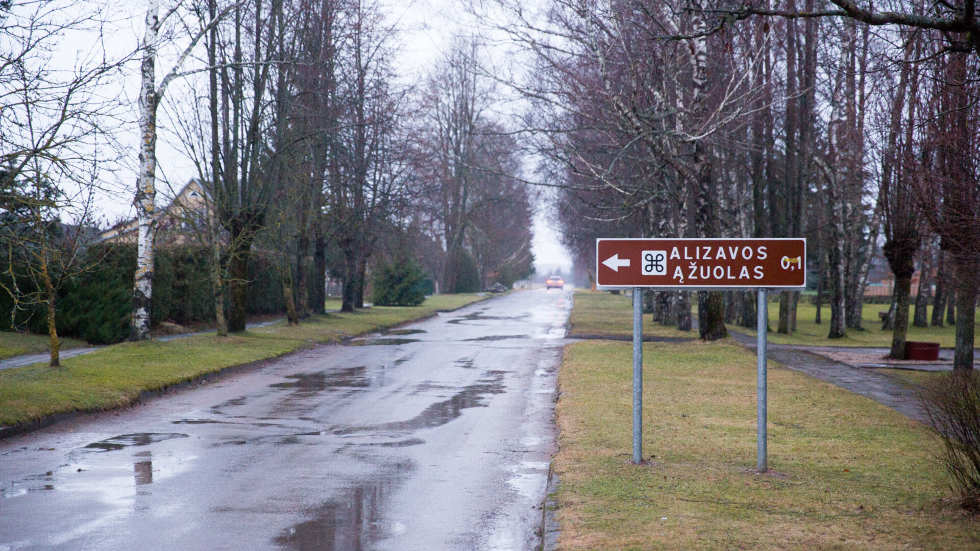 Alizava026