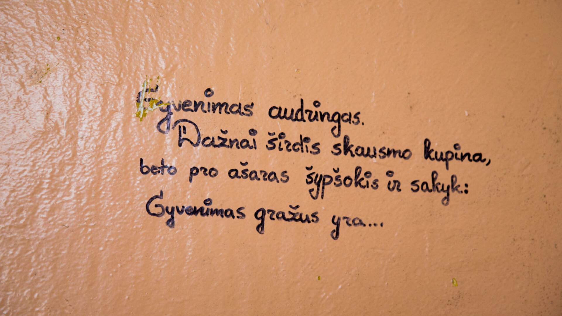 Ciobiskis0037