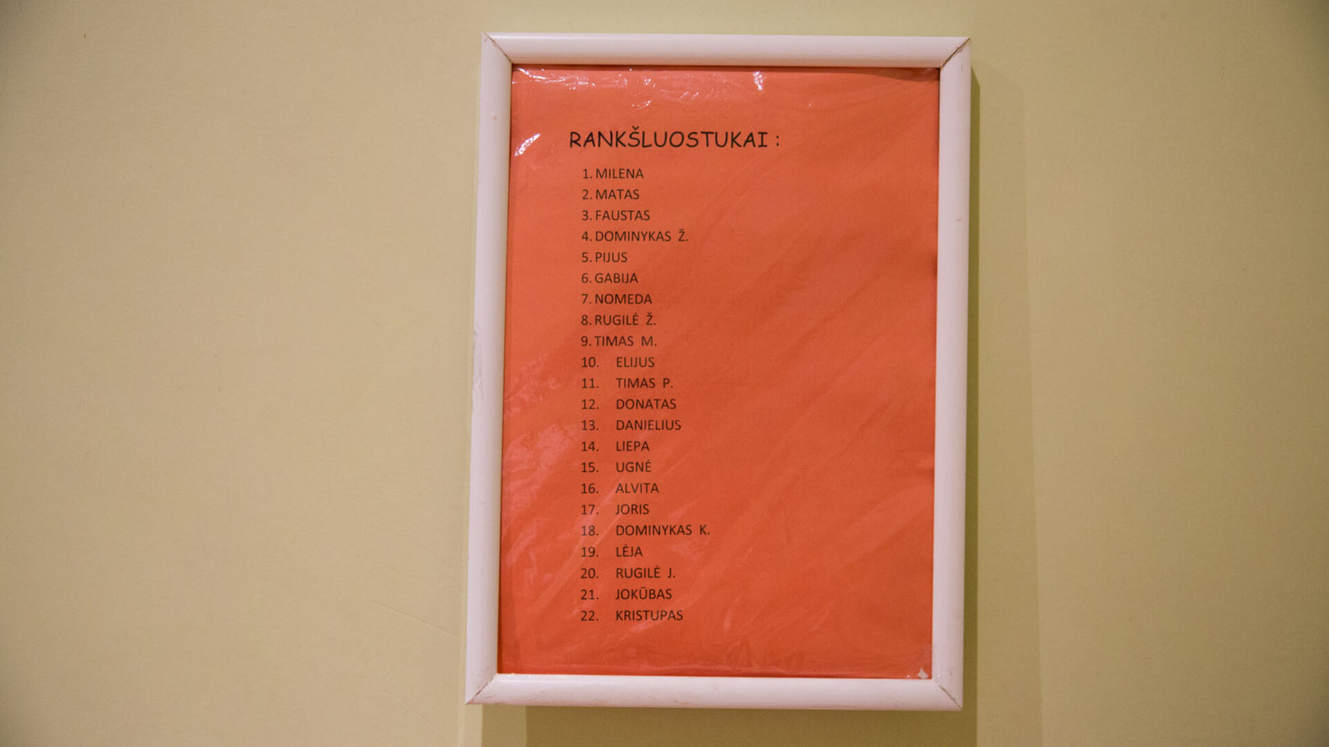 Zasliai0033