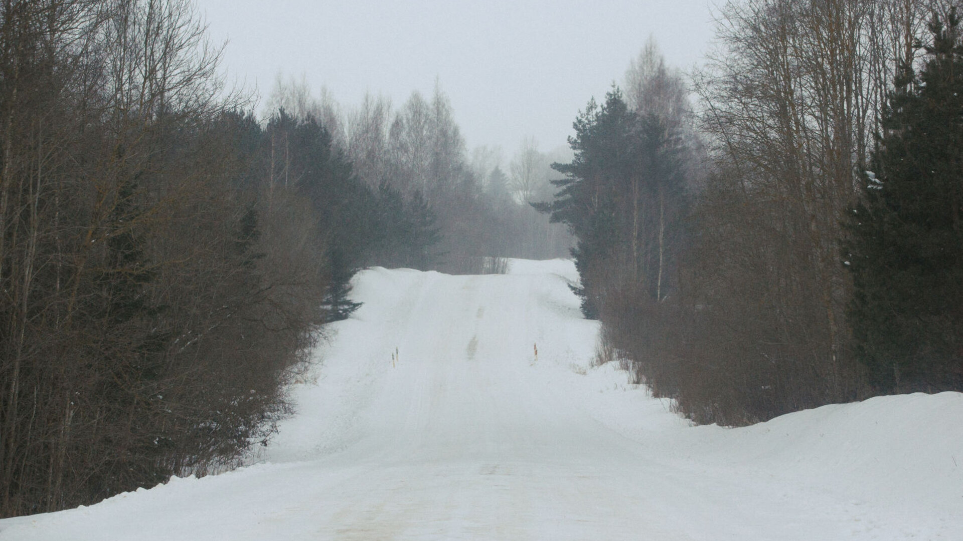 Lygalaukiai0029
