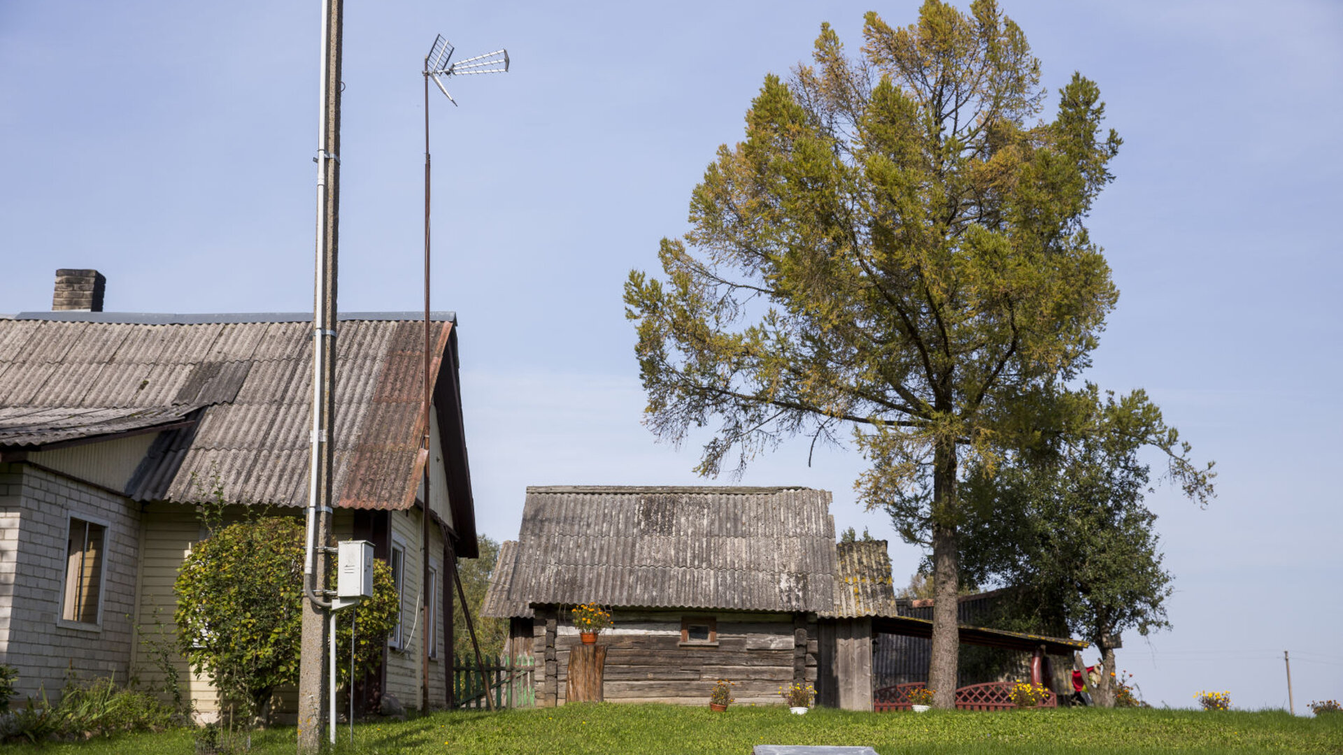 Nedzinge0012