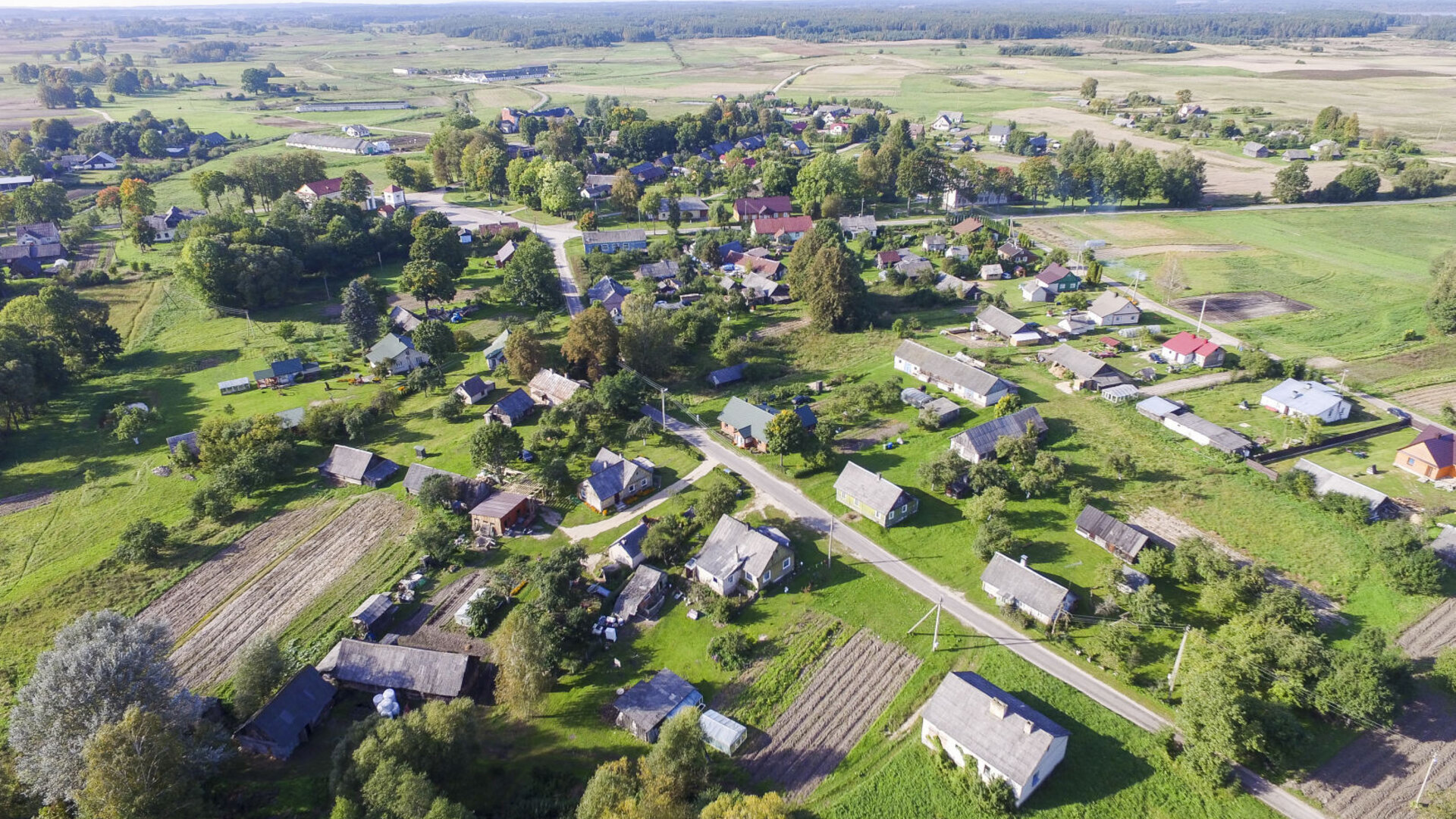 Nedzinge0036