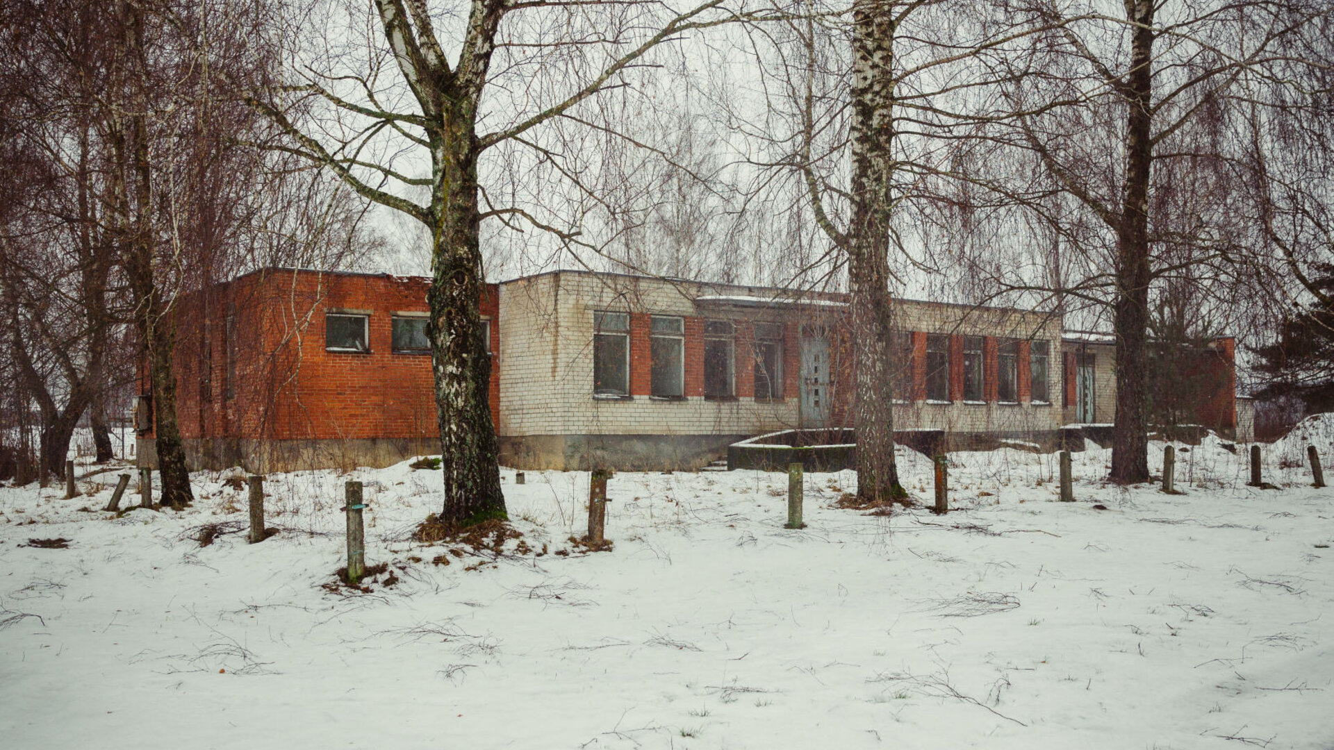 Pastrevys0041