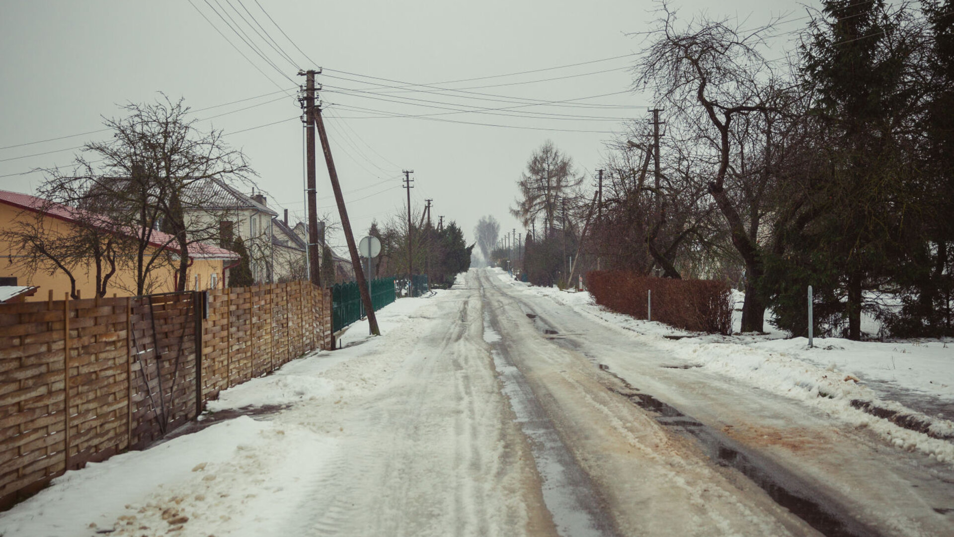 Pastrevys0049