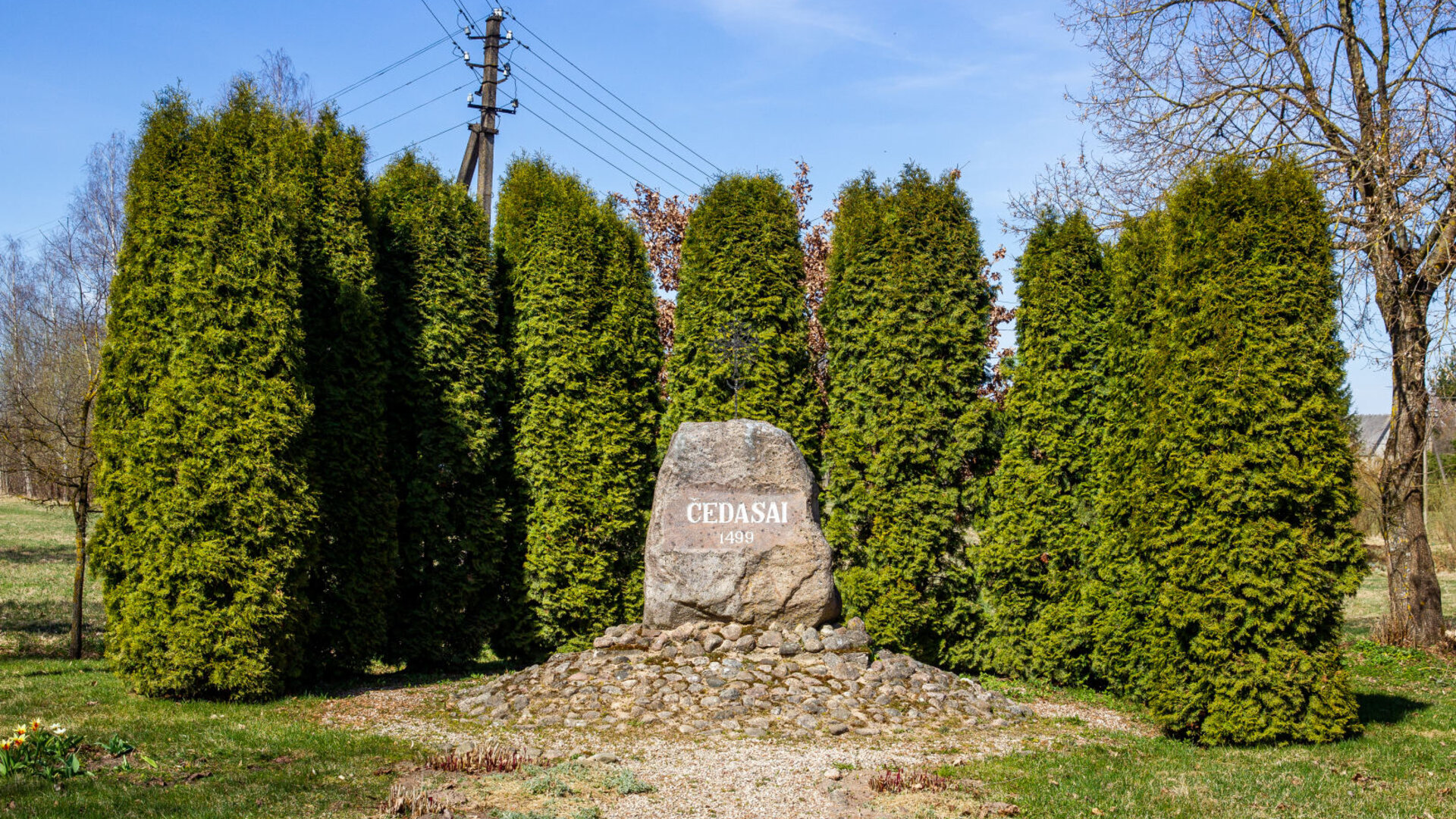 Cedasai0031