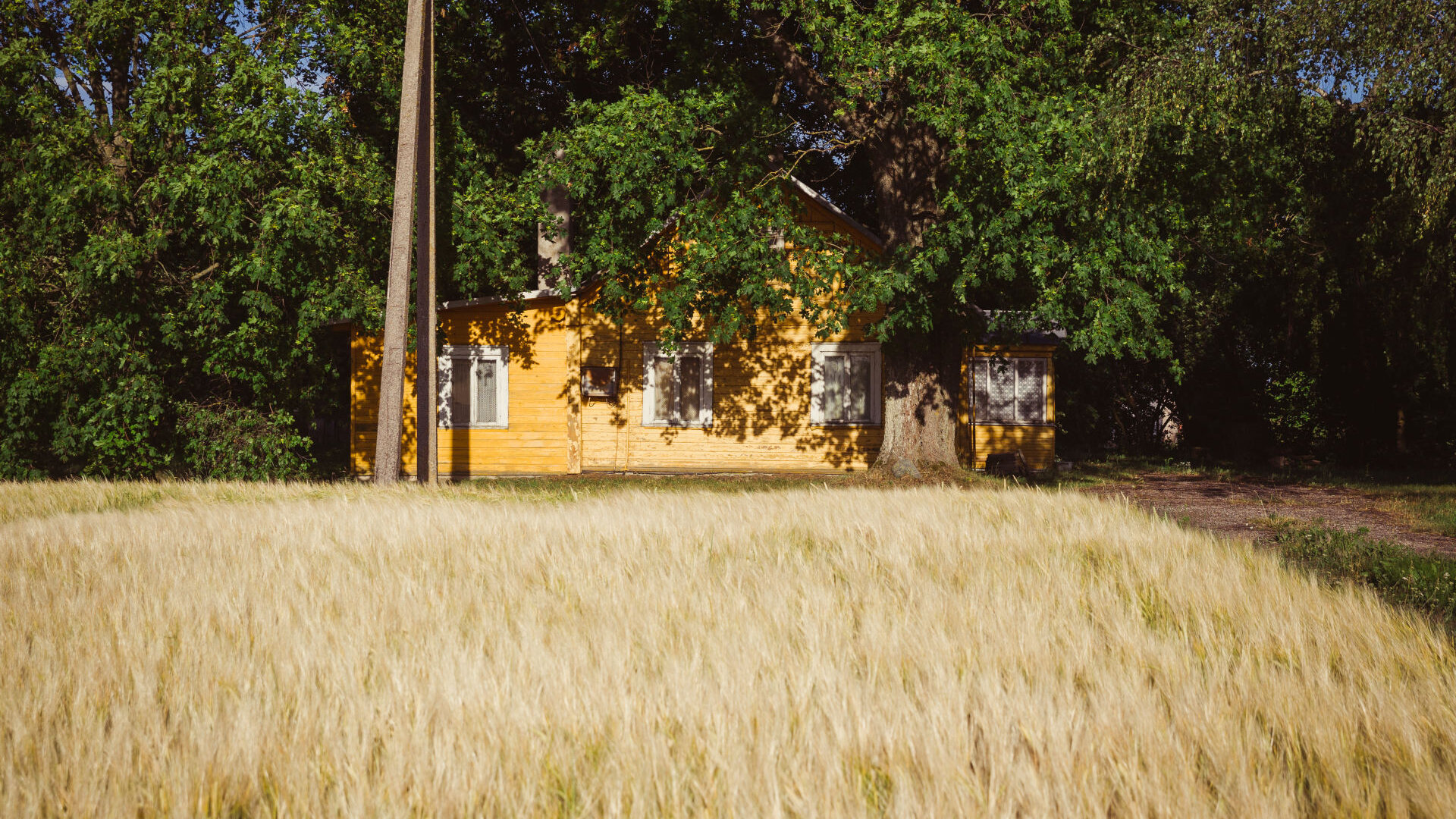 Mimainiai0011