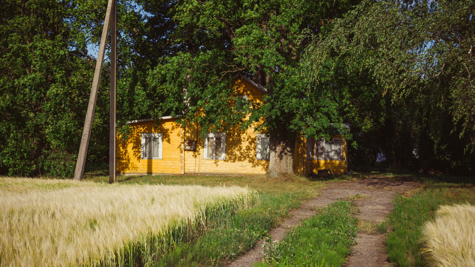 Mimainiai0014