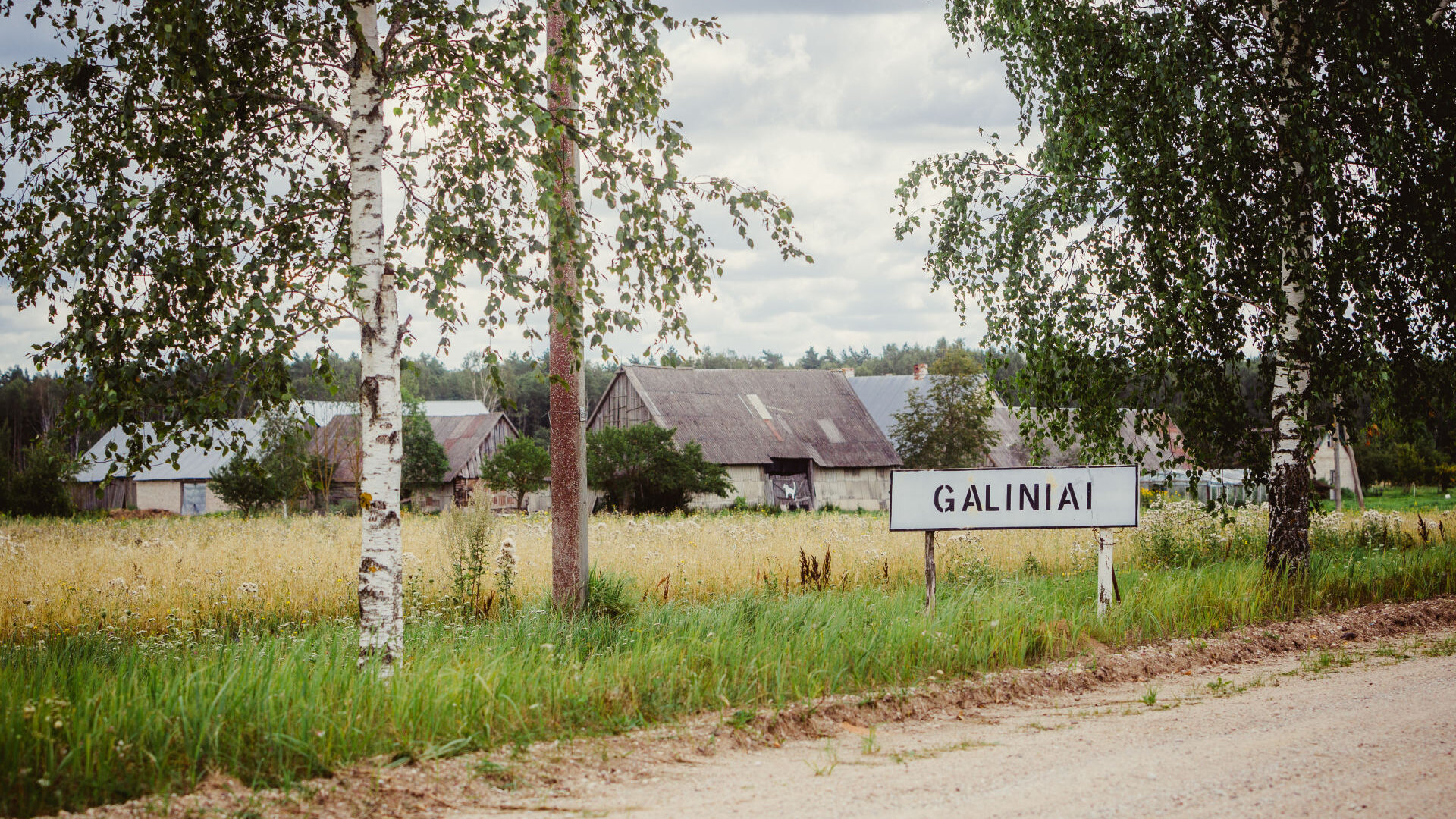 Galiniai0043