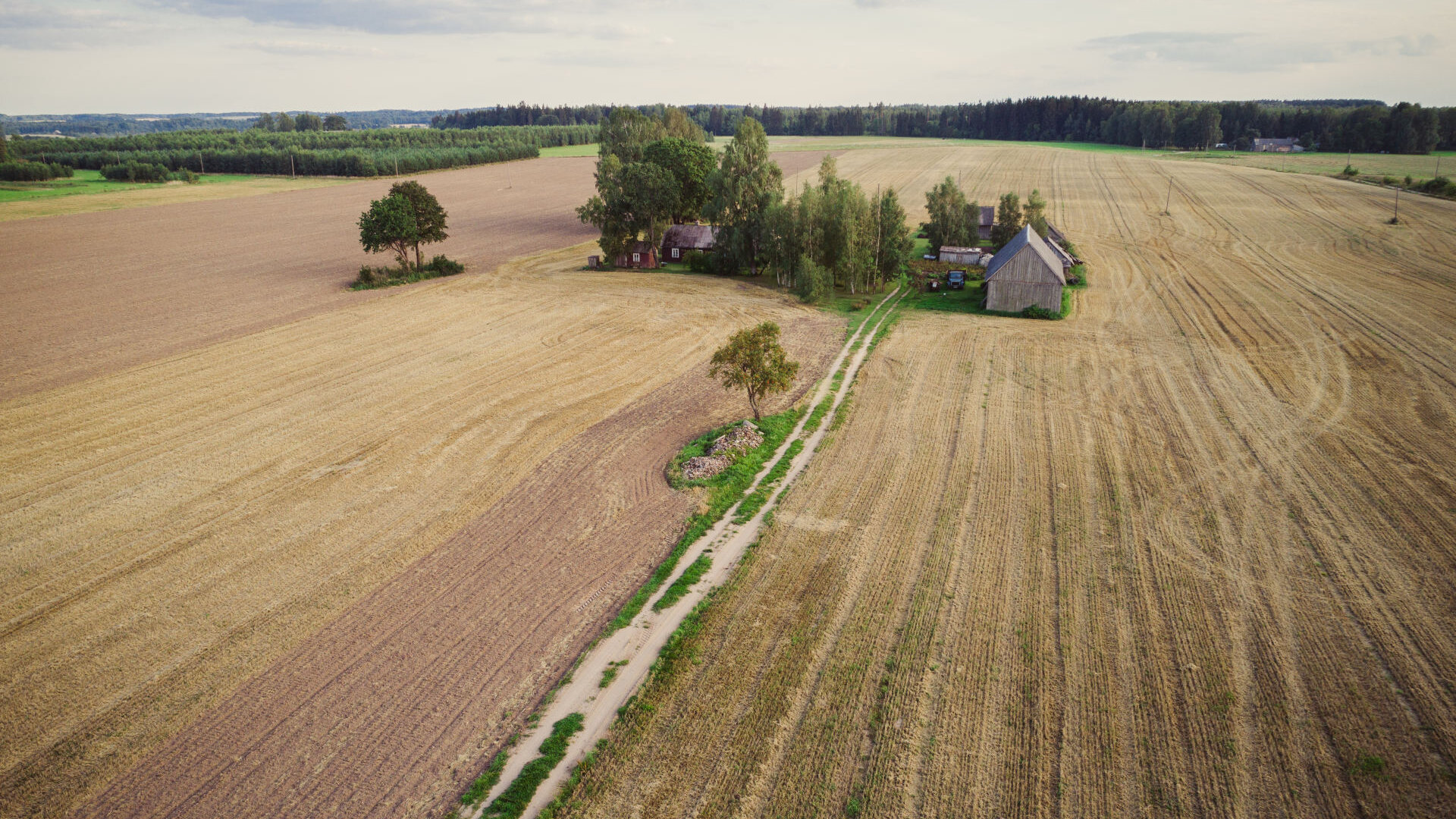 Vaiguviskiai0001