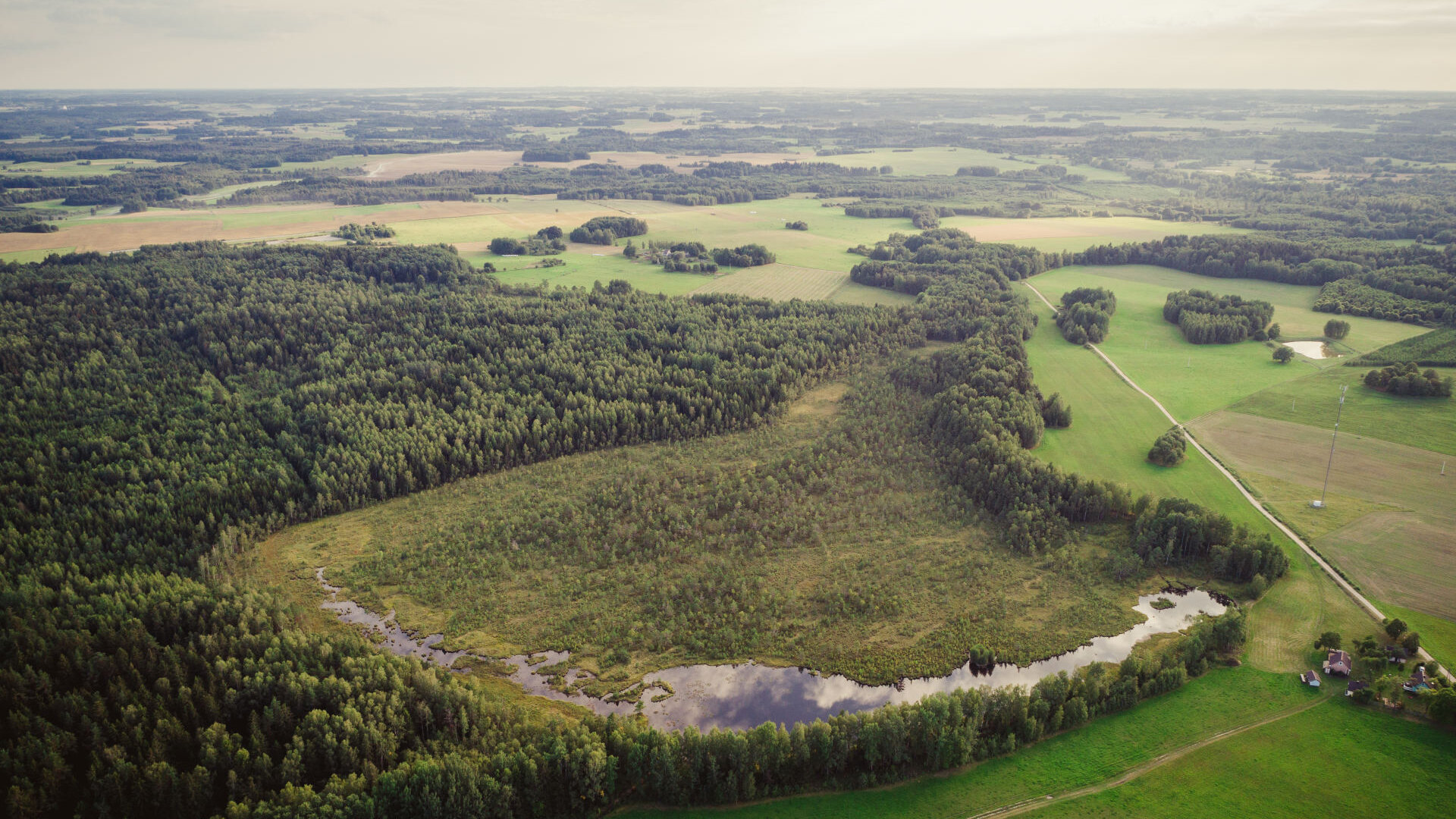 Vaiguviskiai0002