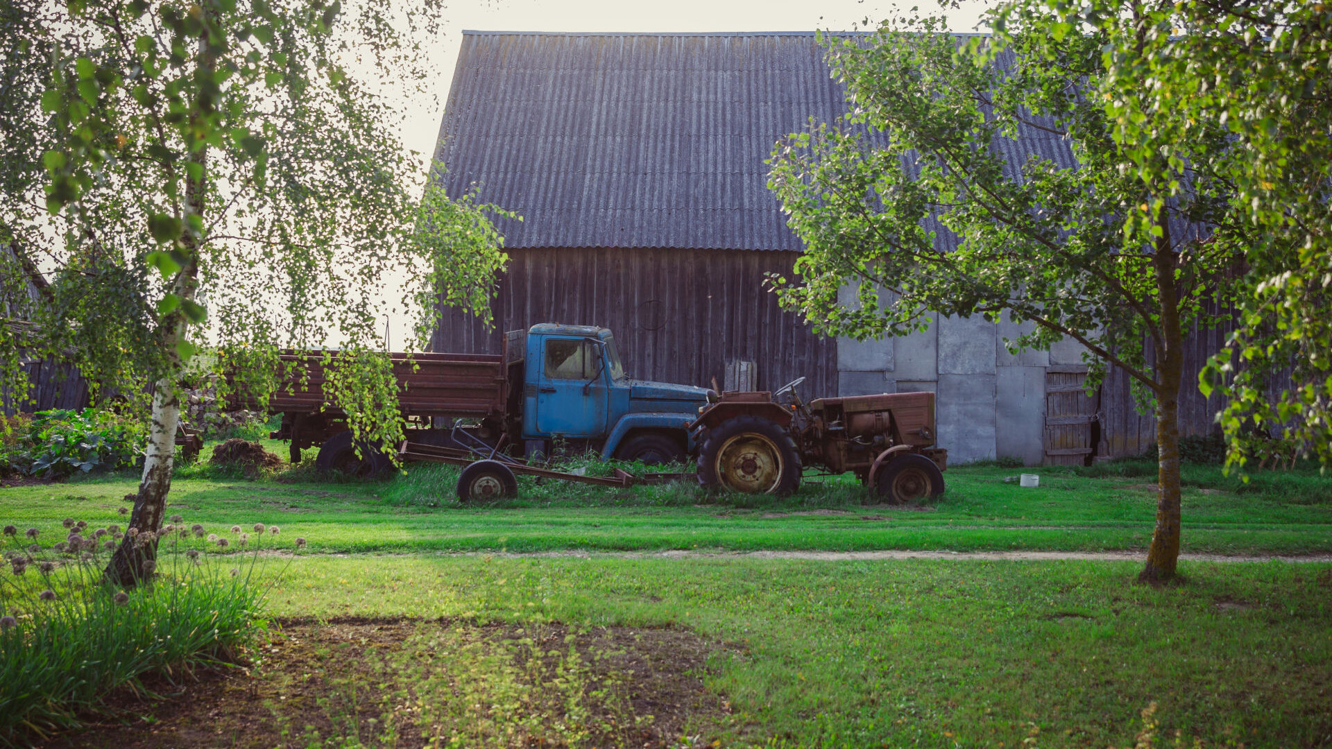 Vaiguviskiai0014