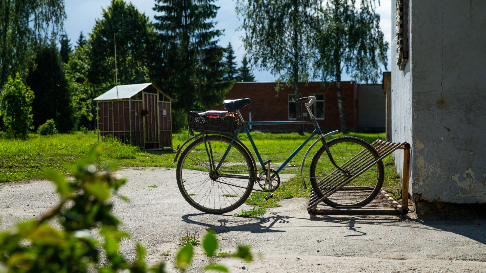 Kvetkai0026
