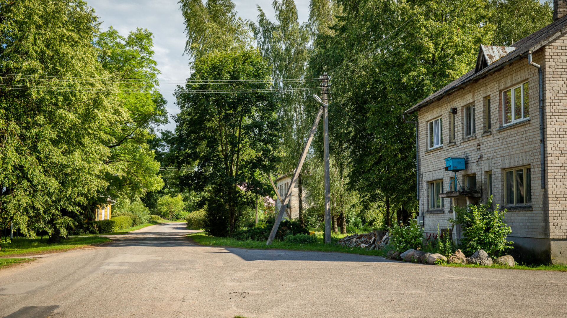 Kvetkai0033