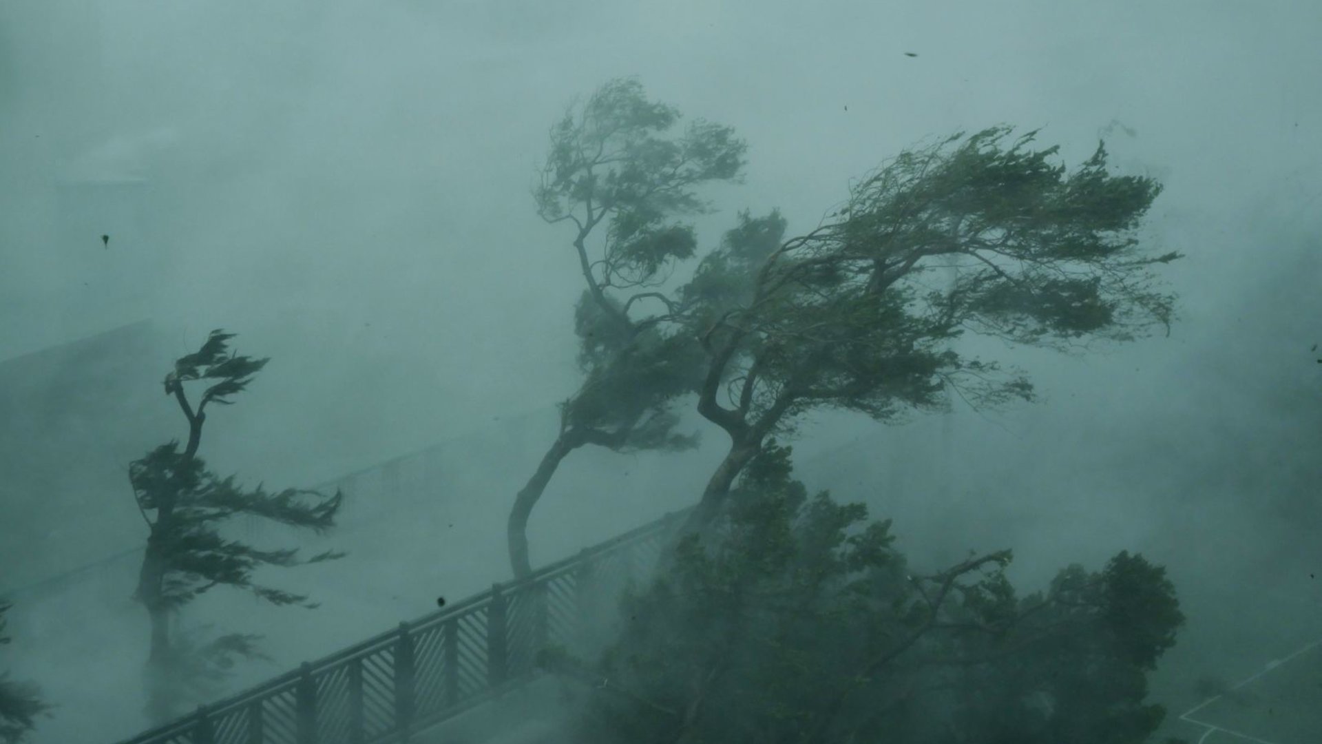 Audrų Karaliumi Pramintas Taifunas Mangkhut Toliau Sėja Mirtis Ramiojo Vandenyno Regione Video Gazas Lt