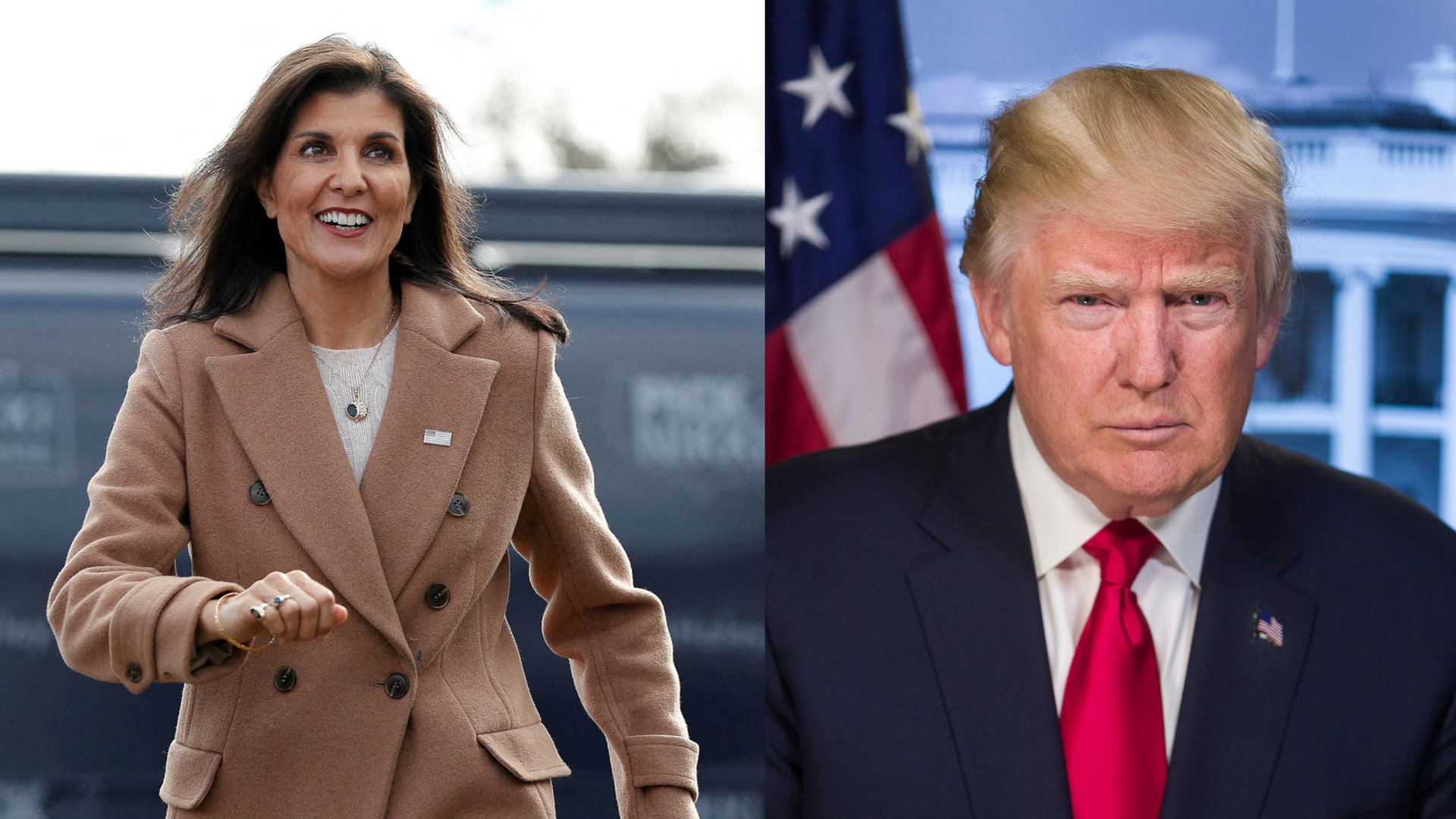 Nikki Haley, Donaldas Trumpas / Scanpix ir Vida Press nuotr.