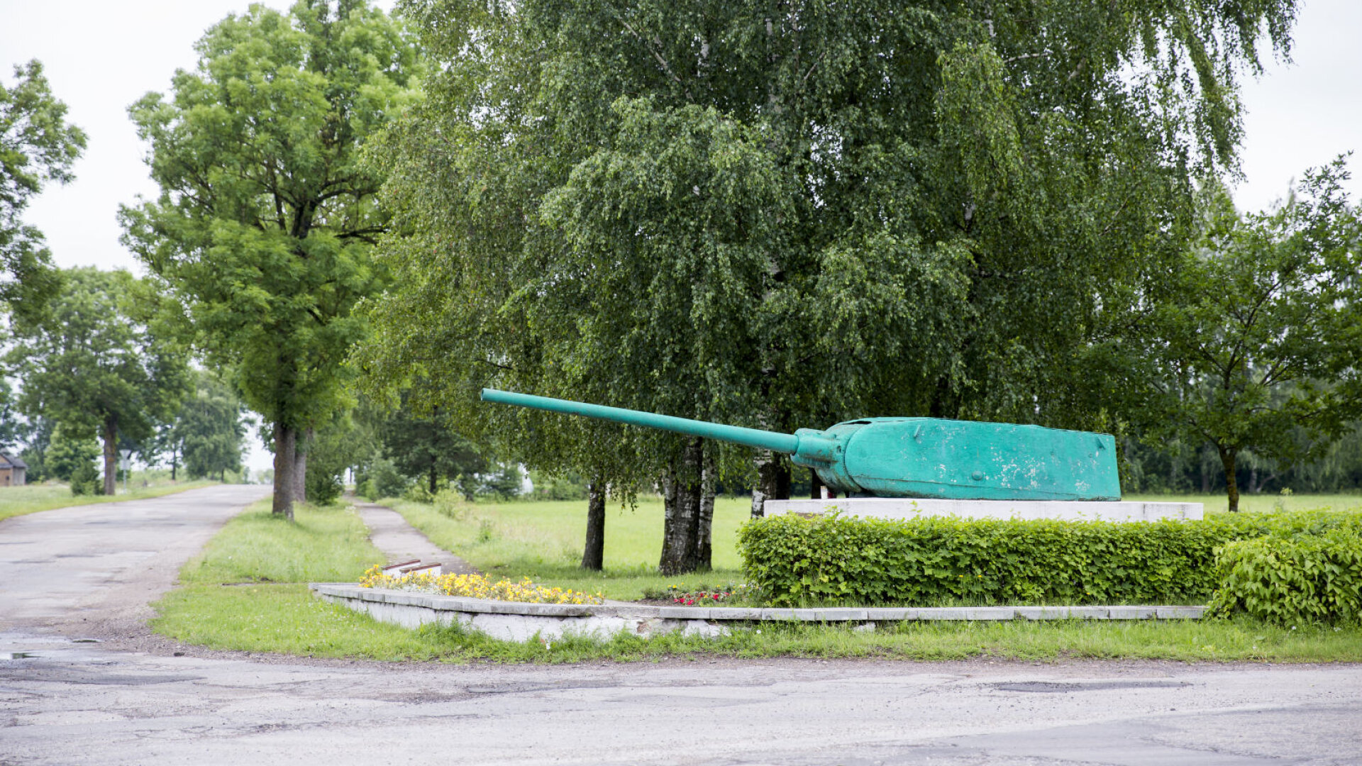 Dirvonenai0017
