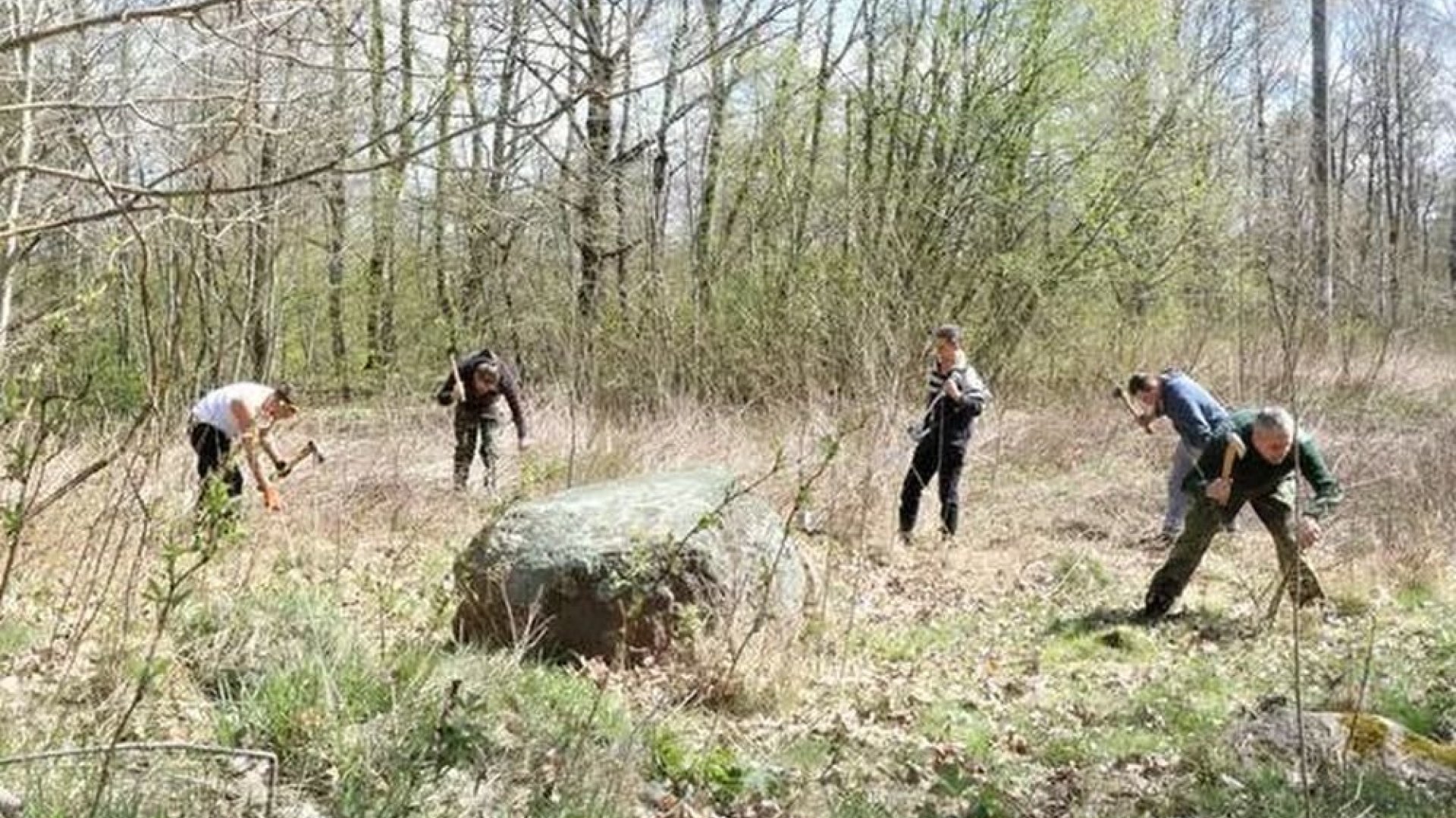 Atvėrė Kursiska Dangaus Kunų Stebykla Pasauliskisenėje Lt