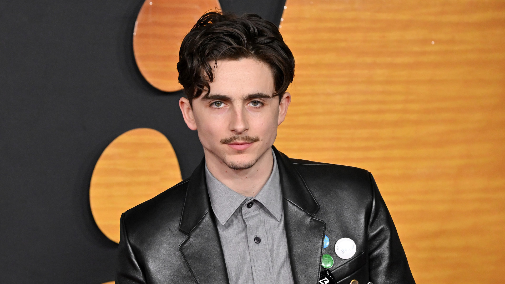 Timothée Chalamet  / Getty nuotrauka