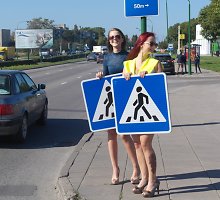  Eksperimentas Klaipėdos gatvėse – eismą kontroliuoja ilgakojės gražuolės 