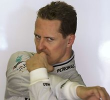 M.Schumacheriui Bahreine nebus lengva
