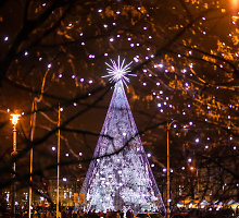 Kalėdų eglės įžiebimas Vilniuje