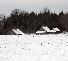 Žiema kaime