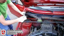 Pajūrio poilsiautojams narkotikus brukę prekeiviai atsidūrė už grotų