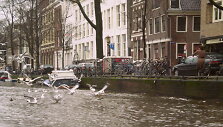 Amsterdamas