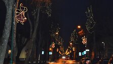 &Scaron;venti&scaron;kai padabinta Palanga.