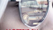 Knyga &bdquo;Moteris su automobiliu, akiniais ir ginklu&ldquo;