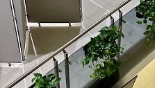 Skaistės Pranaitės kurtas žalias interjeras