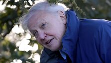 Didžiosios Britanijos dokumentinių filmų apie gamtą kūrėjas seras Davidas Attenborough
