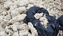 Kur&scaron;ių nerijos paplūdimiuose pririnkta mažiausiai 20 tonų parafino