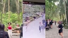 Beždžionių mi&scaron;ke Balyje žuvo du turistai