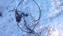 Brakonieriui už kilpomis sugautą elnio patiną gresia susimokėti beveik 8 tūkst. eurų