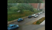Liūtis Pa&scaron;ilaičiuose