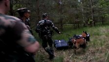 Pavoverės užkardoje VSAT pareigūnai sulaikė cigarečių kontrabandą
