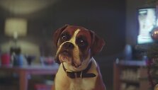 Kadras i&scaron; kalėdinės &bdquo;John Lewis&ldquo; reklamos &bdquo;Buster the Boxer&ldquo;.