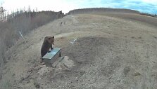 Lietuvoje užfiksuota me&scaron;ka