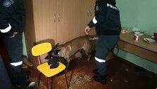 Klaipėdoje policijos pareigūnai su &scaron;unimi tikrino vieną profesinę mokyklą ir bendrabutį.