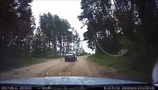 per-reida-nuo-pareigunu-sprukes-vairuotojas-kelione-baige-griovyje