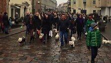 Kauno senamiestyje vyko kasmetinis &bdquo;Westukų&ldquo; žygis