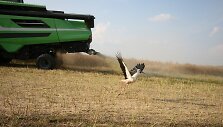 Joni&scaron;kio rajone javų laukais rieda kombainai