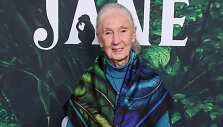 Jane Goodall / Xavier Collin/Image Press Agency / Xavier Collin/Image Press Agency