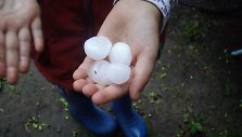 Vasaros kru&scaron;a Dubingiuose
