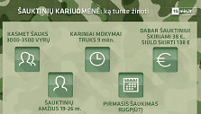 &Scaron;auktiniai: ką turite žinoti