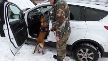 2013 m. laidos &bdquo;Ford Kuga&ldquo; nuo lapkričio 29 d. yra ie&scaron;komas Vokietijos policijos.