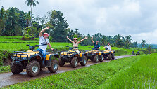 Safaris